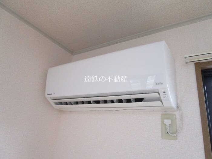 カモミール その他4