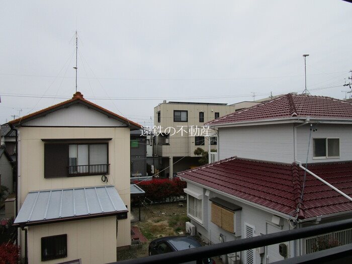 カモミール その他6