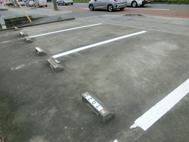 カモミール その他外観4