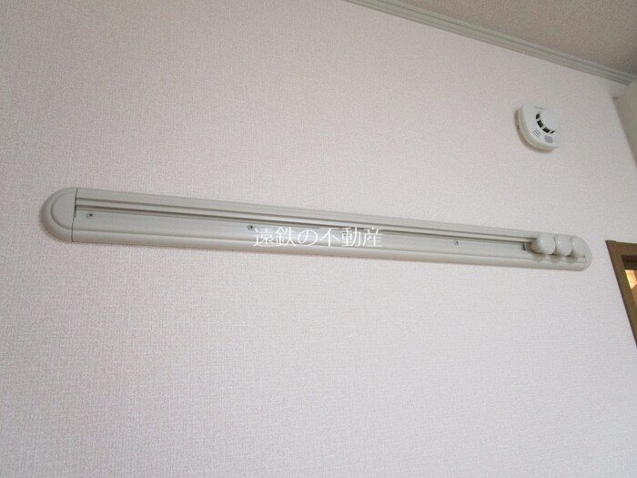 カモミール その他8