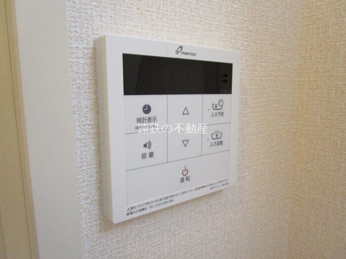 カモミール その他13