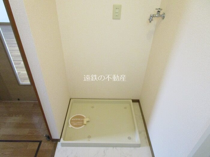 カモミール その他15