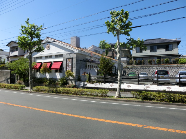 カモミール 周辺画像10