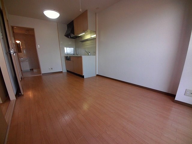 Limpia垂木 その他5