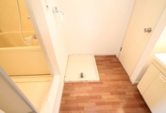レクセル亀の甲 その他
