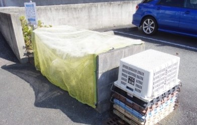 ラフォーレ向平 その他共有部分