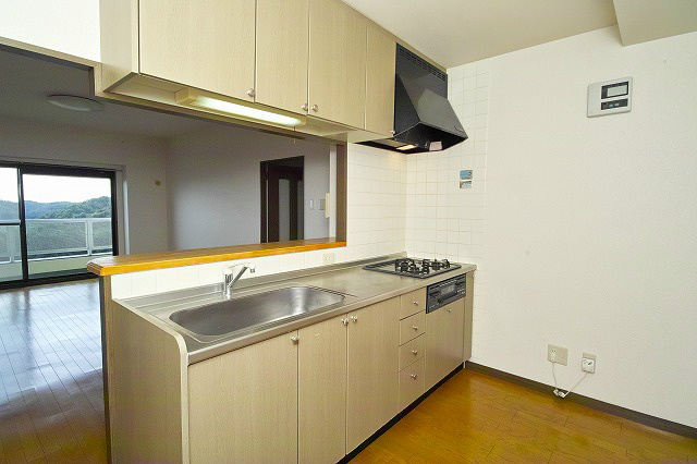 ライフ第5マンション大平台 キッチン