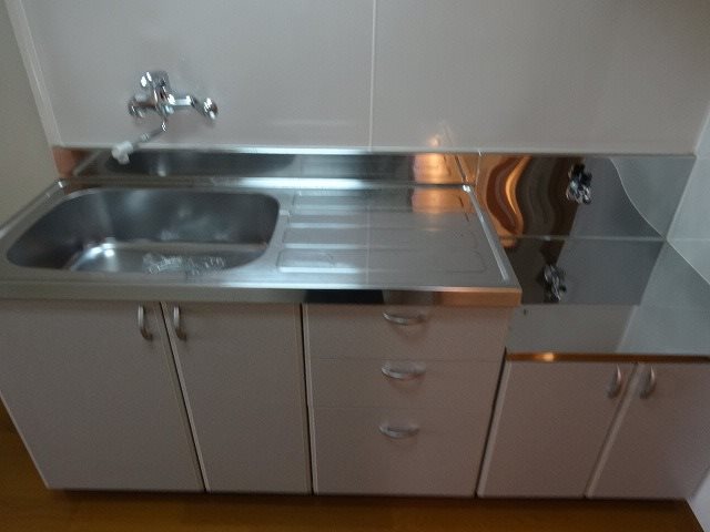 SELENOⅡ その他7