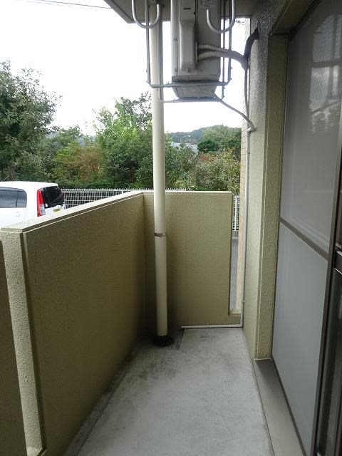 SELENOⅡ その他12