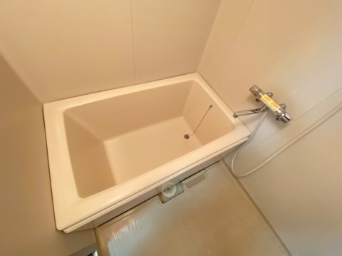 コートビレッジ渡瀬 風呂画像