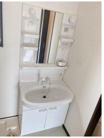 グリーンテラス 洗面所