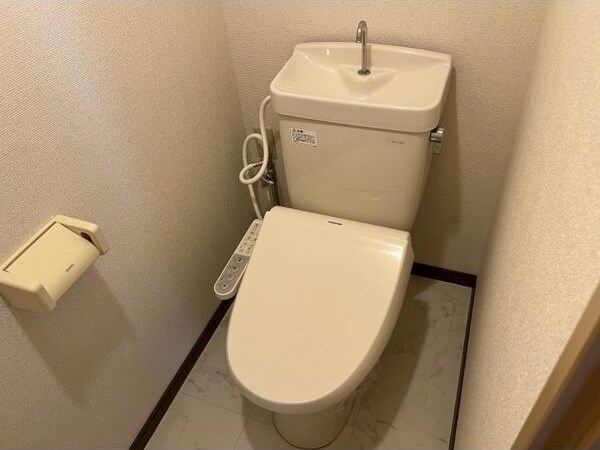 Limpia垂木 その他2