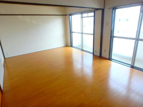 ミヤビメゾンＢ リビング