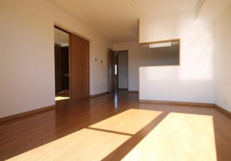 パストラルＳ  リビング