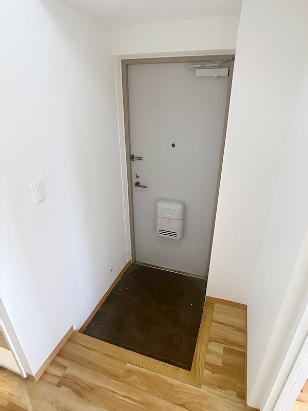 パラシオン・マルクⅥ 玄関