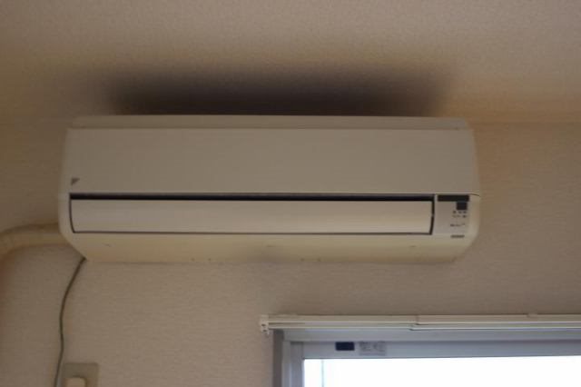 メゾンフェニックス その他5