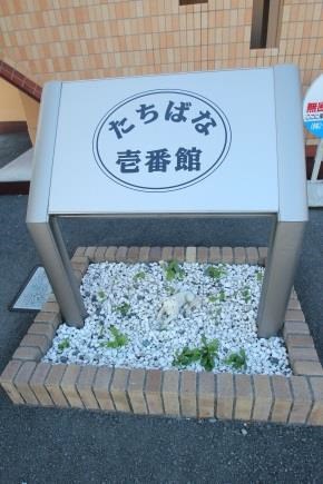 たちばな壱番館 その他