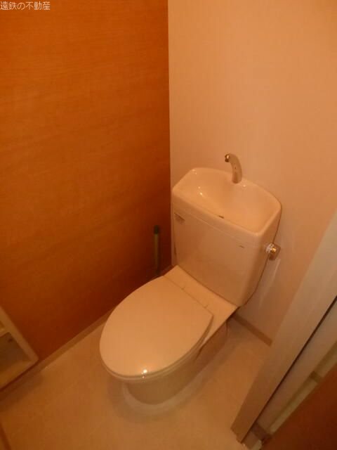 セントポーリア葵D その他2