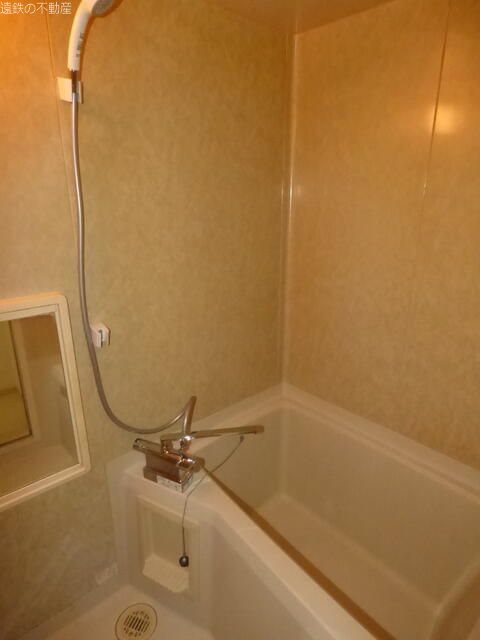 セントポーリア葵D 風呂画像