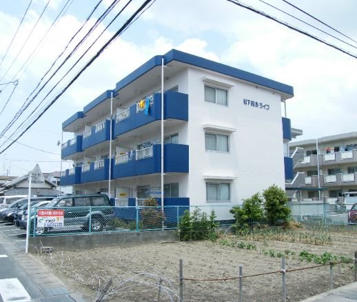 松下細島ライフ 303号室 外観