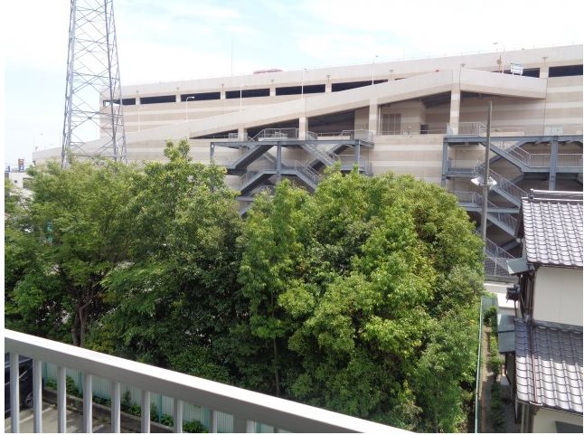 ロイヤルシングル その他6