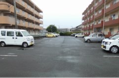 ローヤル石津Ⅱ その他外観1