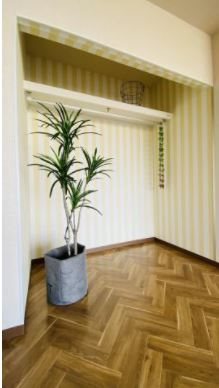 フロントヒルズⅡ その他3