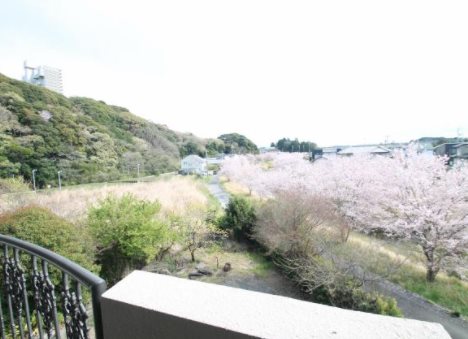 ルミエール21 その他4