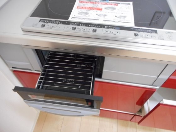 アイリス その他13
