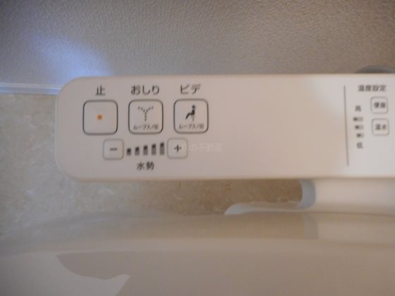 アイリス その他