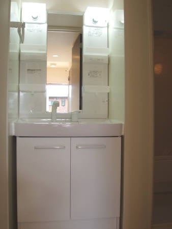 セレーナ その他1