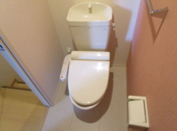 セレーナ その他2