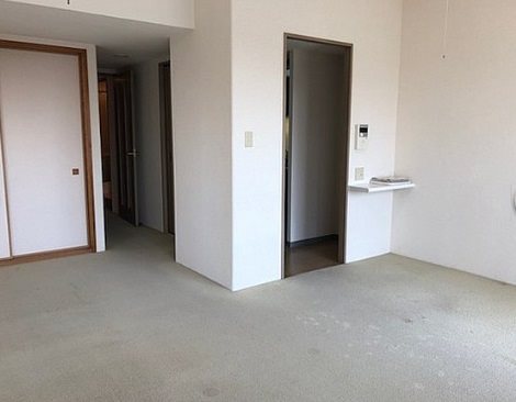 セントラルステージパークホームズ その他