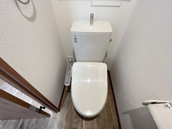 ラフィネユーリン その他1