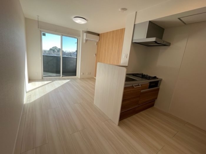 ボンヌ・シャンスB リビング