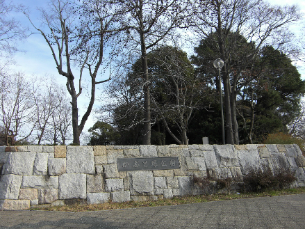 グランドハイツII 公園