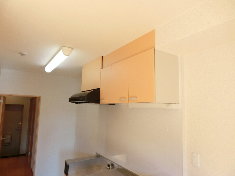 ラパノス その他19