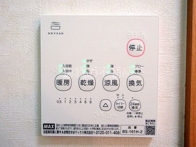 ダイアナ・グレースＡ その他