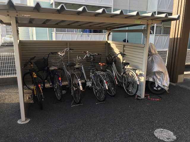 Limpia垂木 その他8