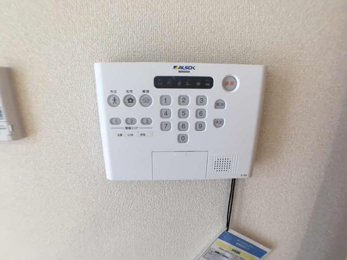 ＤーＧＲＡＣＥ  その他5