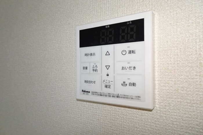 アムール元魚 その他13