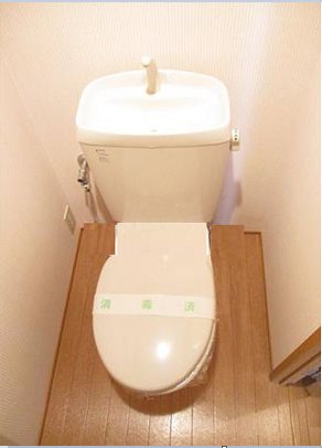 ルミエール・メイ その他1