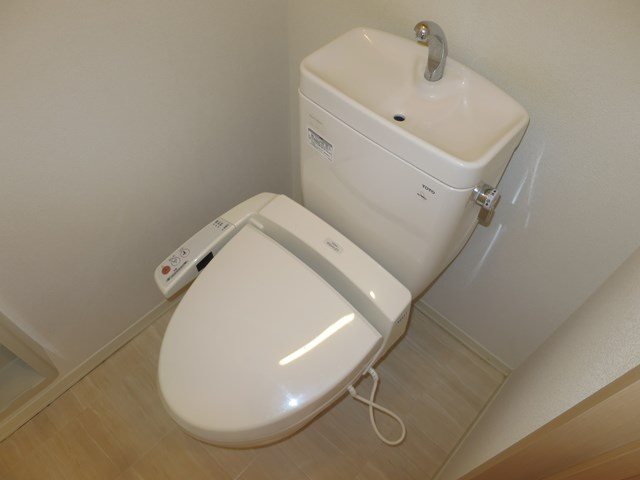 ルピナスB その他1