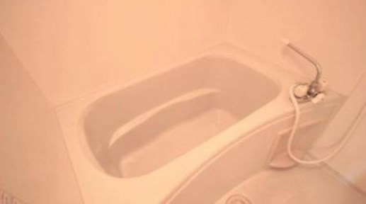 ラ・ロシュ・ブランシュⅡ 風呂画像