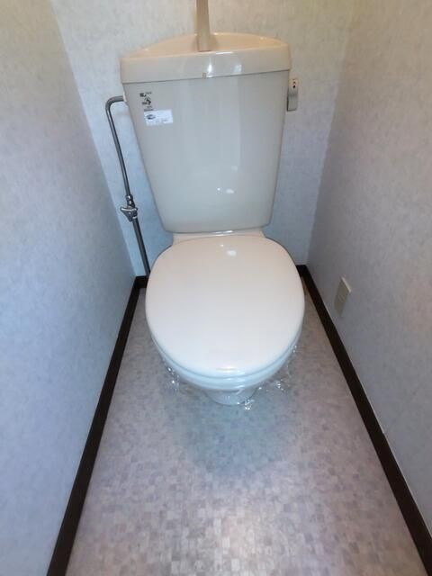 コーポアネシス  その他2