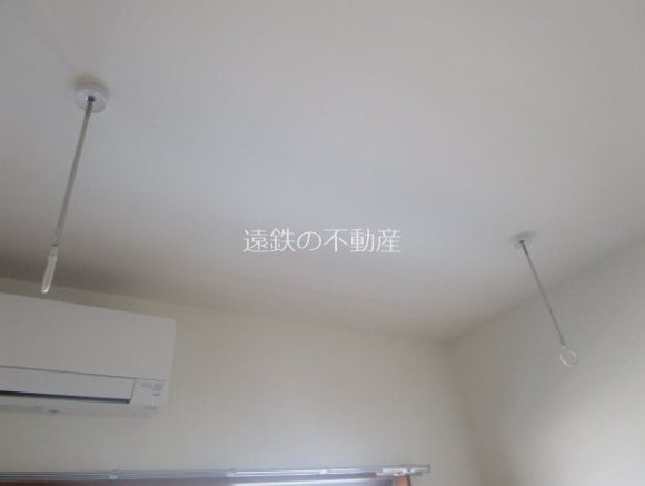 BELL　TREE初生 その他9