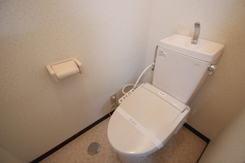 PleiadesⅡ その他1