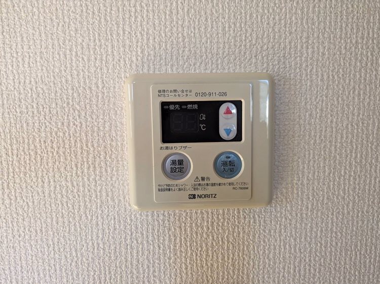 ブルーベリー その他4
