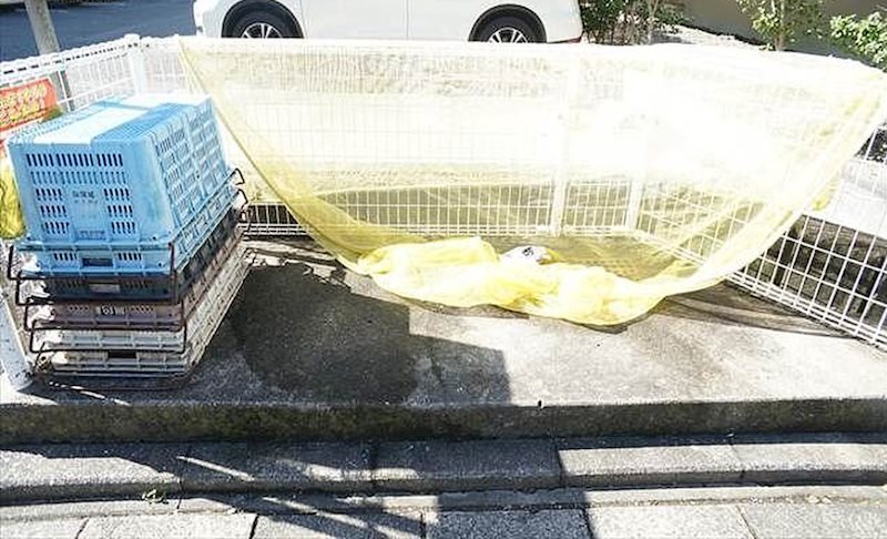 ラフォーレ渡瀬B その他外観2