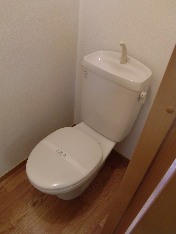 ステラコートⅡ その他2